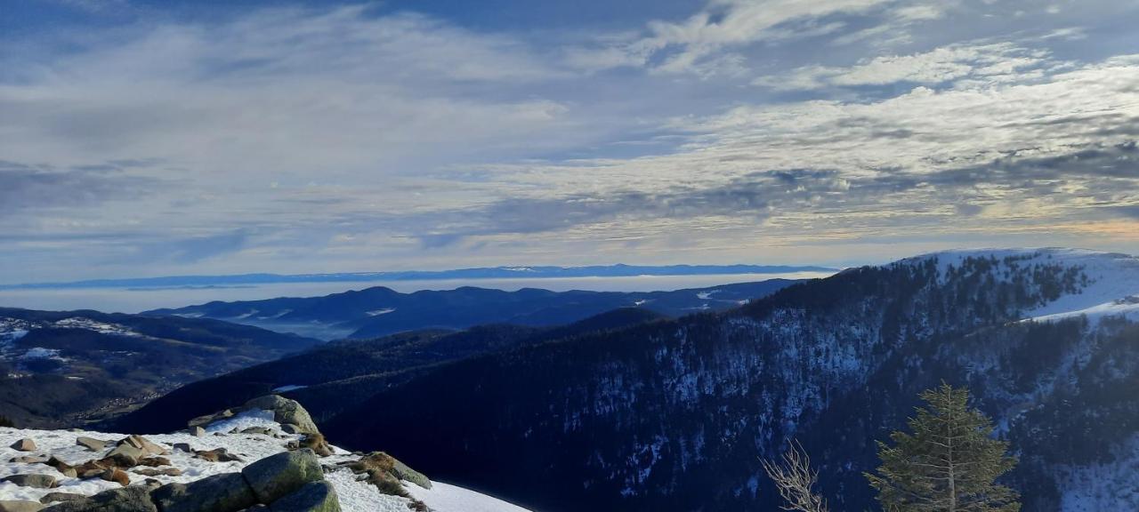 Résidence Vologne La Bresse Extérieur photo